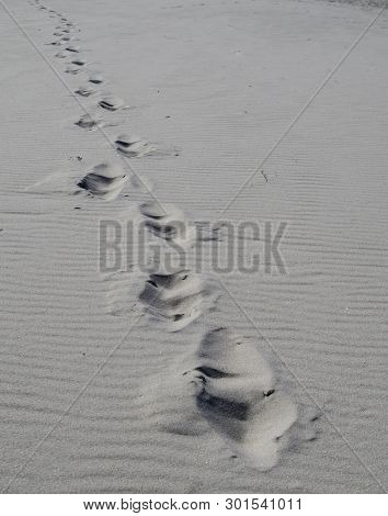 Footprints In The Sand On The Beach, Long Partially Wadded Footprint In White Sand.