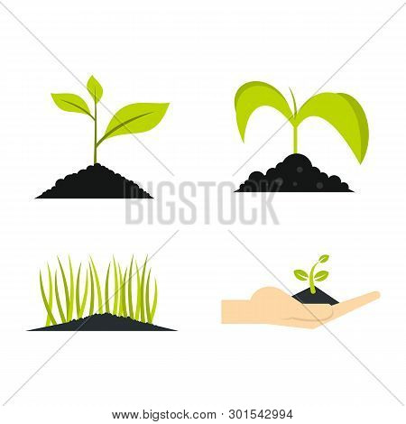 Ground Plant Icon Set. Flat Set Of Ground Plant Icons For Web Design Isolated On White Background
