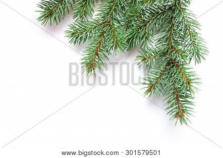 X-mas Fir Tree Branch Isolated On White Background. Pine Branch. Christmas Background