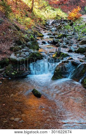 Brook With Cascade In Beech Forest. Beautiful Nature Background In Autumn Season. Colorful Scenery, 