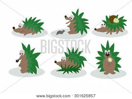 The Set Green Hedgehogs In Vector Illustration
