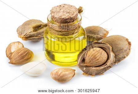 Apricot kernel oil and apricot kernels isolated on the white background.