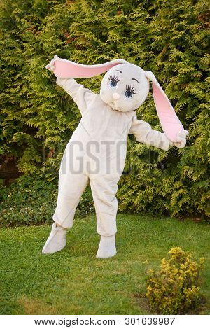 Growth Doll Of A Giant Cartoon Gray Hare In The Park On The Green Grass