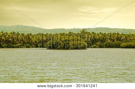 Kerala Beautiful Scenery