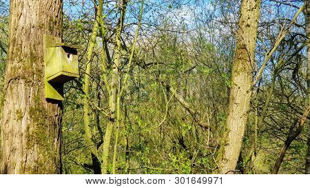 Bird Box