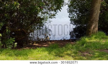 A View Of The Lake From The Bank Between The Trees.
