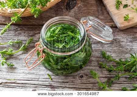 Preparation Of Homemade Herbal Tincture From Fresh Bedstraw