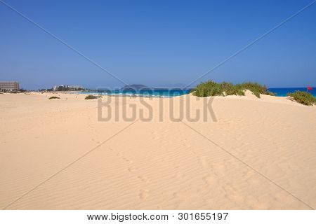 Sand Dunes And Beach In National Park Corralejo, Fuerteventura, Canary Islands, Spain.