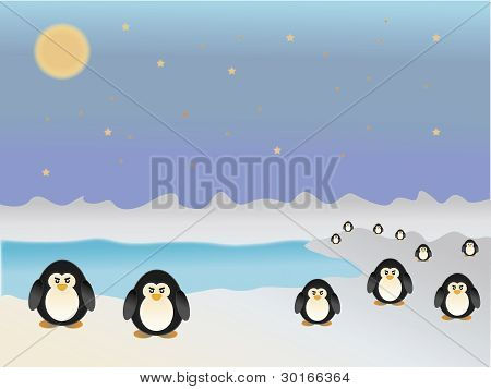 pinguini grassi in piedi sul ghiaccio vicino al mare
