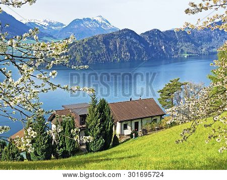 View Of Lake Lucerne Or Vierwaldstaetersee With Vitznau Settlement And Swiss Alps In The Background 