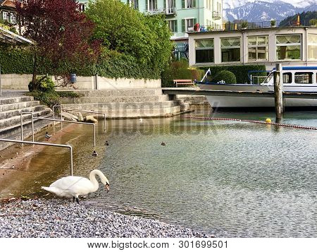 A View Of The Lake Lucerne Or Vierwaldstaetersee And Swiss Alps From The Vitznau Settlement - Canton