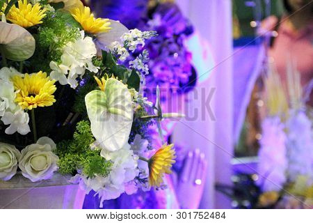 Flower Behind Mya Nan Nwe