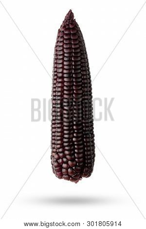 Isolate Purple Corn With Clipping Path On White Background. Concepts Of Healthy Food.