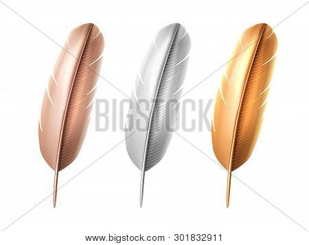 Set Of Isolated White And Bronze, Golden Bird Realistic Feather. Soft Or Lightweight Quill Of Peacoc