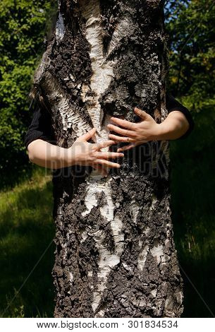 A Person Behind A Birch Truk Has Wrapped Arms Around And Hugging.