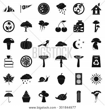 Forestation Icons Set. Simple Set Of 36 Forestation Icons For Web Isolated On White Background