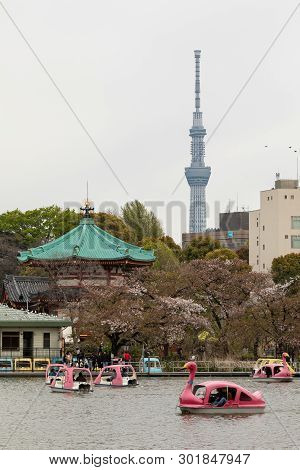 View Of Tokyo. Shinobazuno Pond. Ueno Park Boat Dock