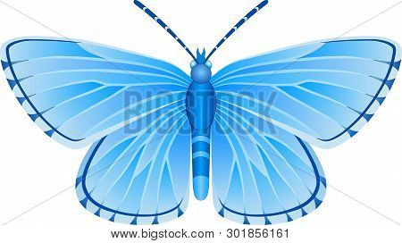 Albulina Orbitulus Blue Butterfly Vector Image For Web Design And Print