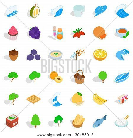 Lifelike Icons Set. Isometric Set Of 36 Lifelike Icons For Web Isolated On White Background