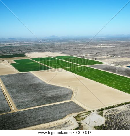 Croplands aerea.