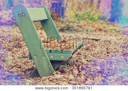 Chair In Park Under Leaves With Lens Flare Effect. Vintage Tone. Shallow Depth Of Field.
