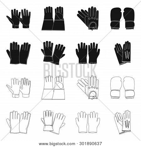 Vector Design Of Glove And Winter Sign. Collection Of Glove And Equipment Stock Vector Illustration.