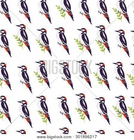 Vector Flat Seamless Pattern With Hand Drawn Forest Woodpecker Birds And Fgreen Brunch Elements Isol