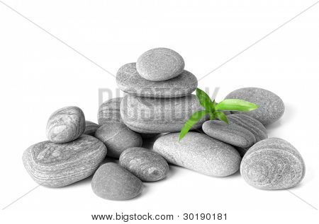 Zen Steine und Blätter auf der weißen