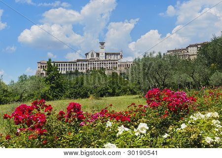 Assisi, vecchi edifici e fiori
