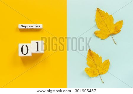 Autumn Composition. Wooden Calendar September 1 And Yellow Autumn Leaves On Yellow Blue Background. 