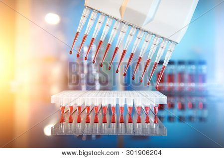 Scientific Background. Multichannel Pipette Tips Filled In With Reaction Mixture To Amplify Dna In P