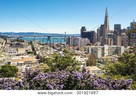 San Francisco Downtown From Ina Coolbrith Park. Russian Hill District, San Francisco, California, Us