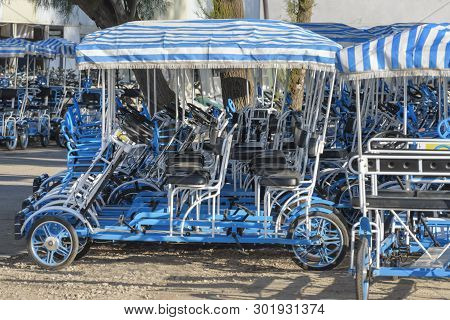 Rent Of Bicycles. Tours, Bird Watching, Park Excursion. Active Rest And Recreation In Agamon Hula, I