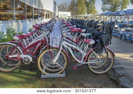 Rent Of Bicycles. Tours, Bird Watching, Park Excursion. Active Rest And Recreation In Agamon Hula, I