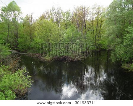 Spring Landscape. Two Forest Rivers Merge Into One. Spring Forest Against The Blue Sky And Reflected