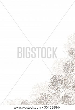 Decorative Corner Frame With Flowers, Roses, Peonies. Elegant And Stylish Template For Text. Vector 