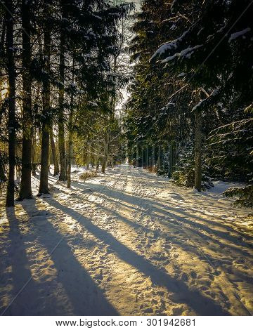 Winter For Me Allways Gives The Best Photos