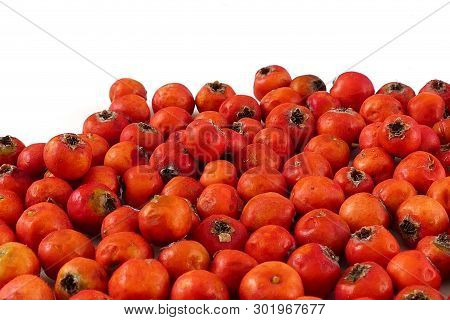Hawthorn Fruit, Red Hawthorn And Human Health, The Healing Hawthorn Fruit,