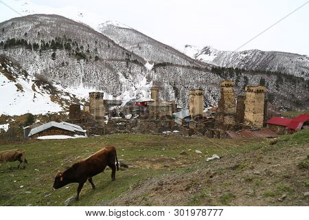 In Georgia Mestia The Old Village