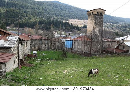 In Georgia Mestia The Old Village