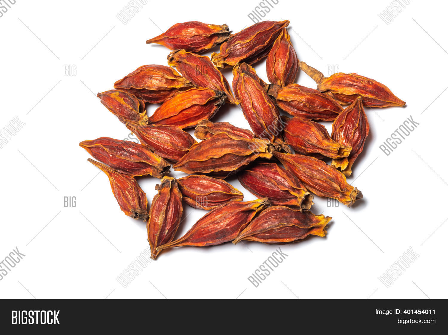 Dried Gardenia Fruits Image & Photo (Free Trial) Bigstock