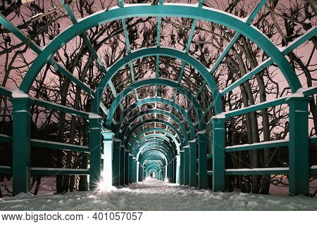 Wooden Arcade Entwined With Trees. Night Path In The Park. Winter Path In The Park. Russian Manor Pa