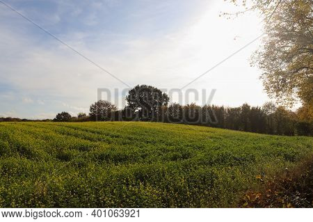 Beautiful Clouds In A Blue Sky In A Northern European Agriclutural Landscape