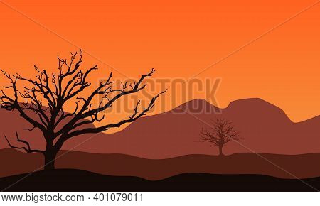 Nice Nature Scenery At Sunset In The Afternoon. City Vector