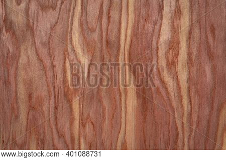 background and texture of wood venner - red cedar tree