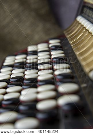 Buttons Bayan Close-up. Black And White Keys Of An Accordion Close Up.