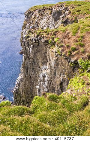 Latrabjarg - Iceland.