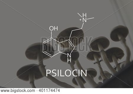 Psilocin Formula. Psychoactive Natural Drug. Medical Psilocybin And Psilocin On The Health Of Mental