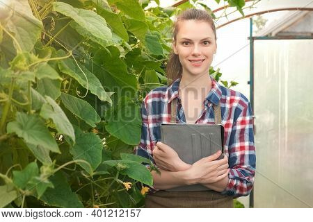 Agronomist Woman With Tablet Working In Greenhouse With Cucumbers And Looking At Camera And Smiling.