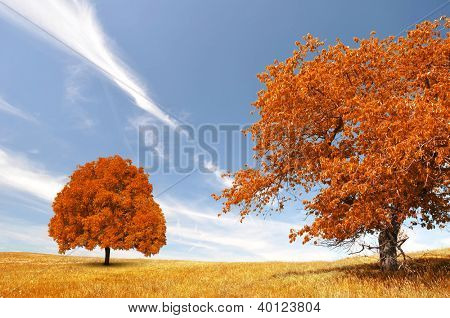 Herbstliche Landschaft im Nationalpark Sumava - Tschechische Republik